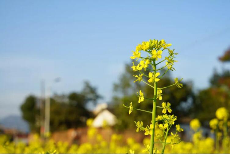 春季該如何預(yù)防控制高血壓？