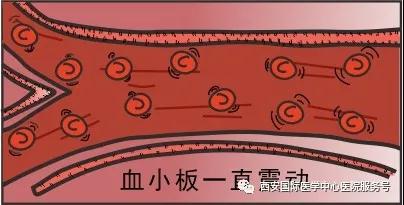 【科普】血小板是正常值的三倍？專家提醒小心血栓和出血！