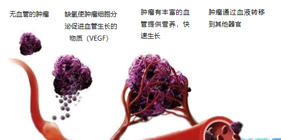 晚期腫瘤為什么會復(fù)發(fā)轉(zhuǎn)移？