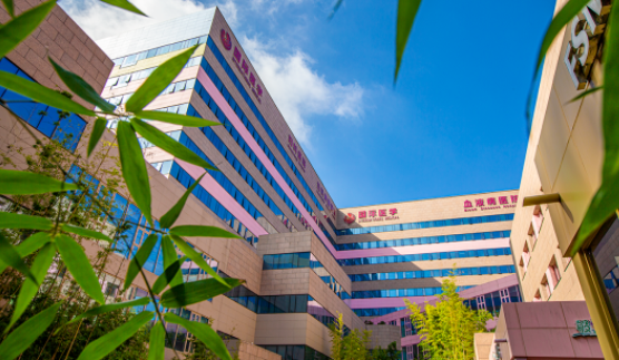 國醫(yī)四味：竹林、紫杉、桂花、銀杏，還有那……