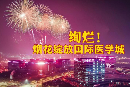 絢爛！煙花綻放國際醫(yī)學城
